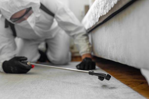 Professional Pest Control technician working in Mallory, WV