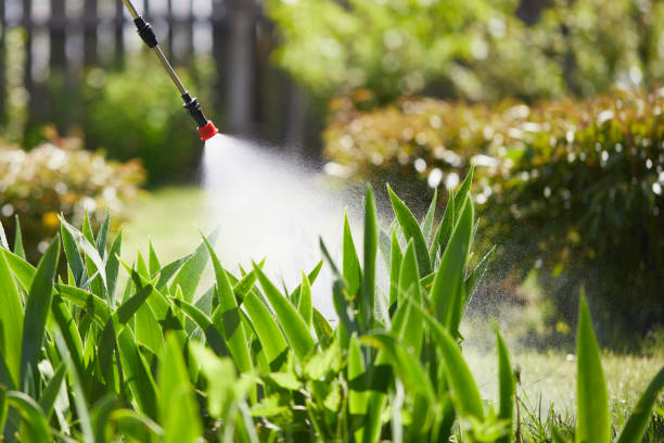 24/7 Emergency Rodent Control experts in Mallory, WV