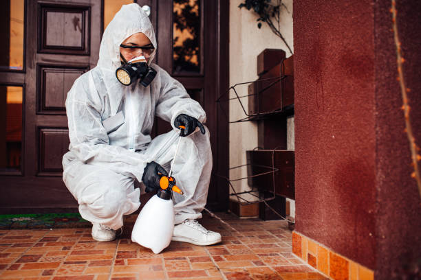 Reliable Rodent Control contractor in Mallory, WV by Nex Pest Control
