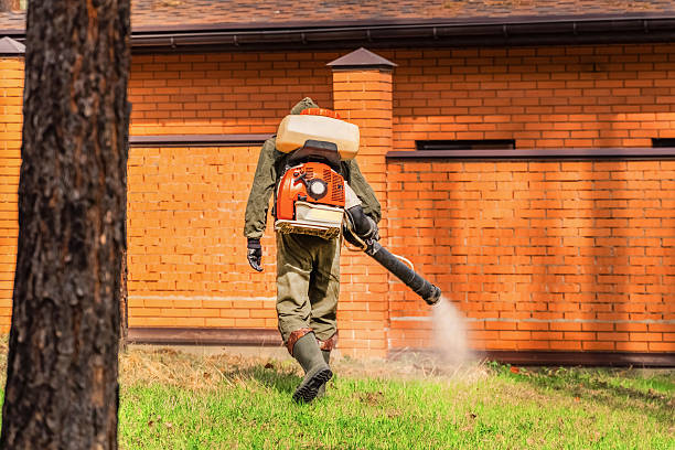 Trusted Rodent Control service in Mallory, WV - Nex Pest Control